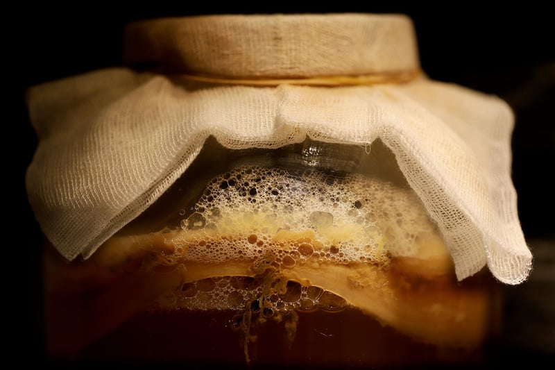 Fermentation